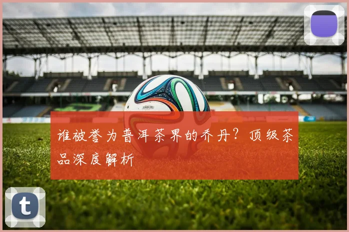 谁被誉为普洱茶界的乔丹？顶级茶品深度解析