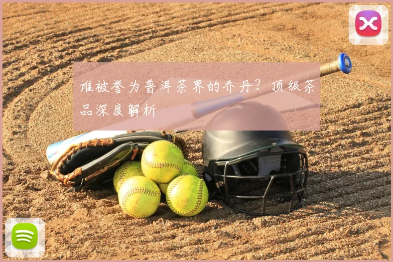 谁被誉为普洱茶界的乔丹?顶级茶品深度解析